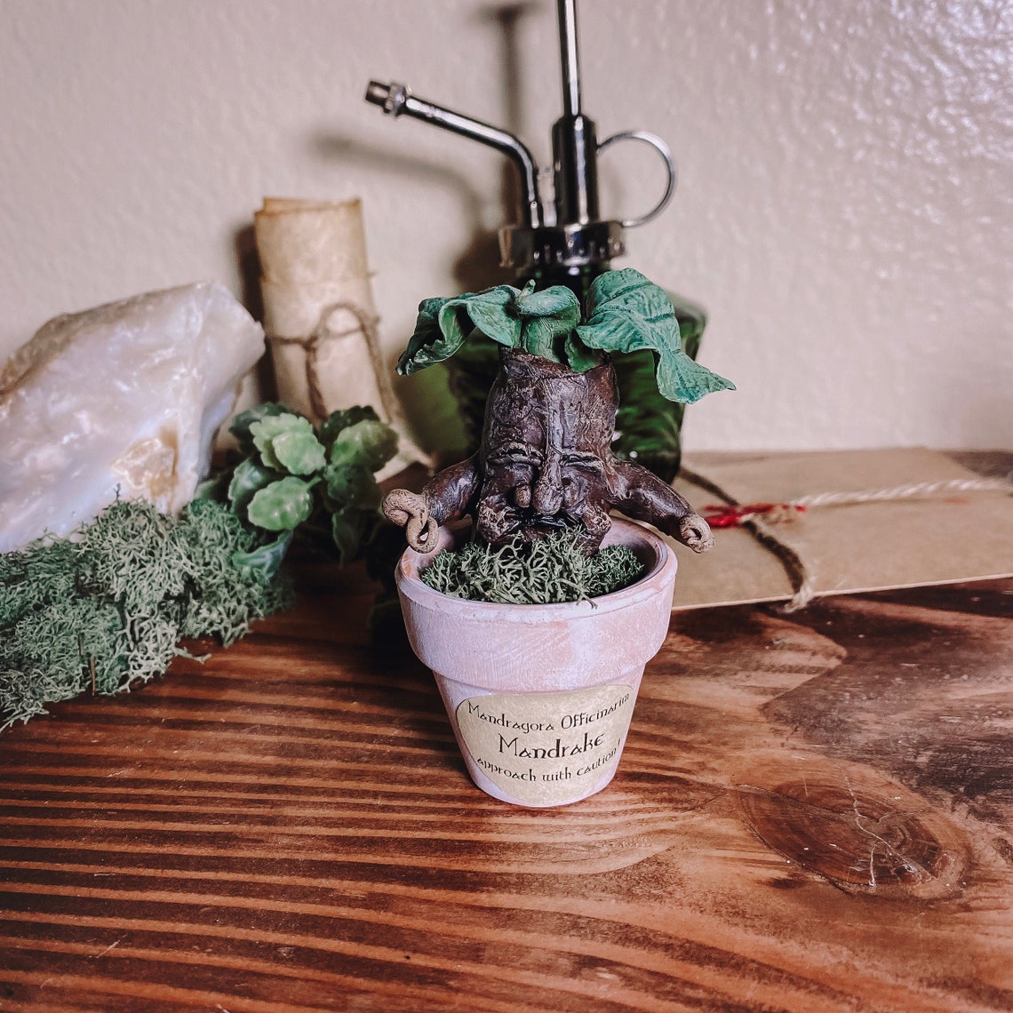 OOAK Mandrake Plant Small Mandrake Harry Potter Plant baby