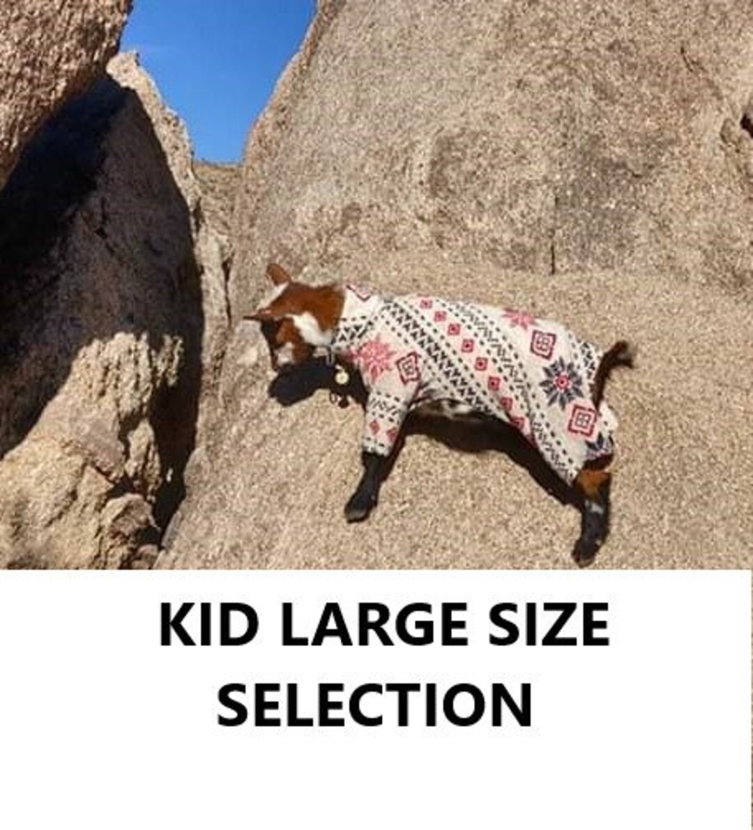 Goat Pajamas 17 Spine for Nigerian Dwarf Goat KID Colorful Selection of