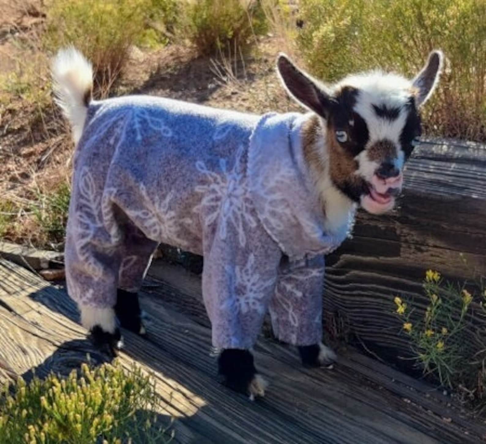 Goat Pajamas 15 Size Selection for Nigerian Dwarf Goat Etsy