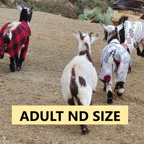 Goat Pajamas 15 Size Selection for Nigerian Dwarf Goat Etsy