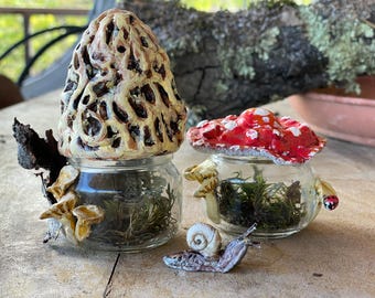 Mini Mushroom Shaped Terrarium With Forest Forage