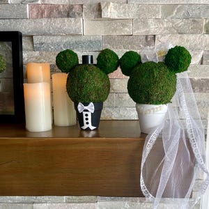 Wedding Mickey & Minnie