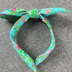 Headbands with character, Lilly P tribute themed bow band