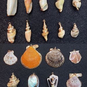 Natural shell conch pendants,electroplating 3D seawater shell beads,aquarium fish tank decoration, DIY jewelry accessories, 2 pendants