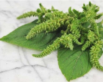 Jamaican Callaloo Seeds - Hand Harvested - Organically Grown -  Non GMO