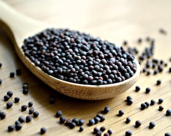 Black Mustard Seeds - Organic .5 oz - FREE SHIPPING