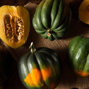 Acorn Squash Organic Seeds - Table Queen