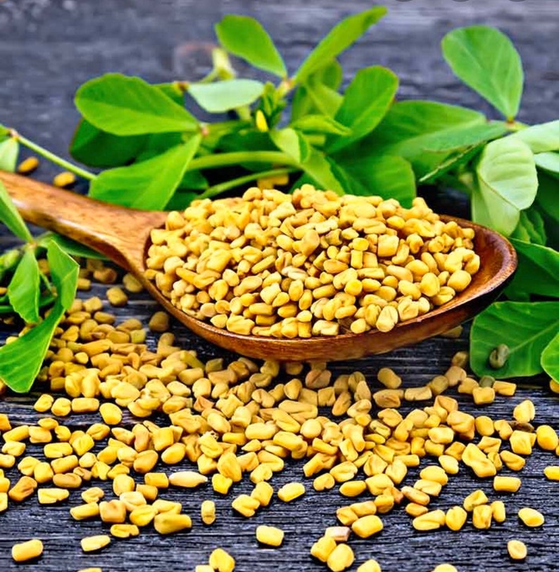 Methi or Fenugreek Seeds. .5 Dry Oz. Etsy