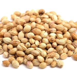 Organic Cilantro Seeds