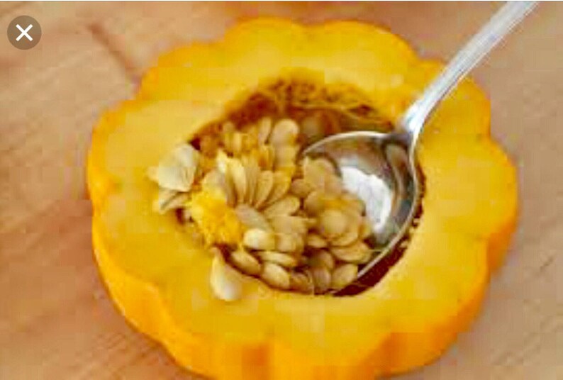 Organic Non GMO Miniature Pumpkin Seeds. Etsy