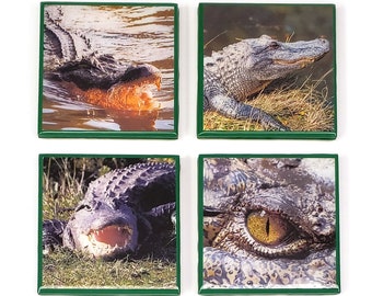 Alligator Dj animal reptile ceramic art tile coaster gift