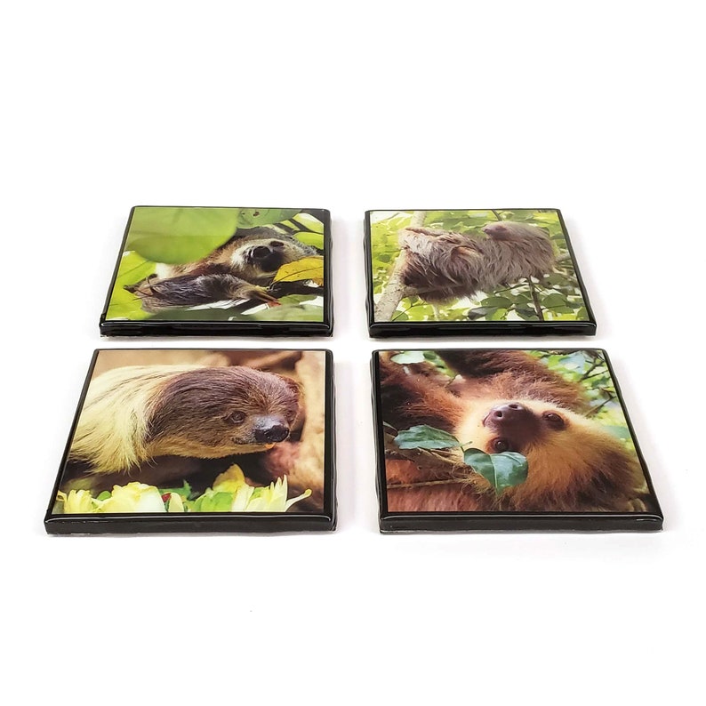 Black Edges Sloths Resin Tile Drink Coaster Set