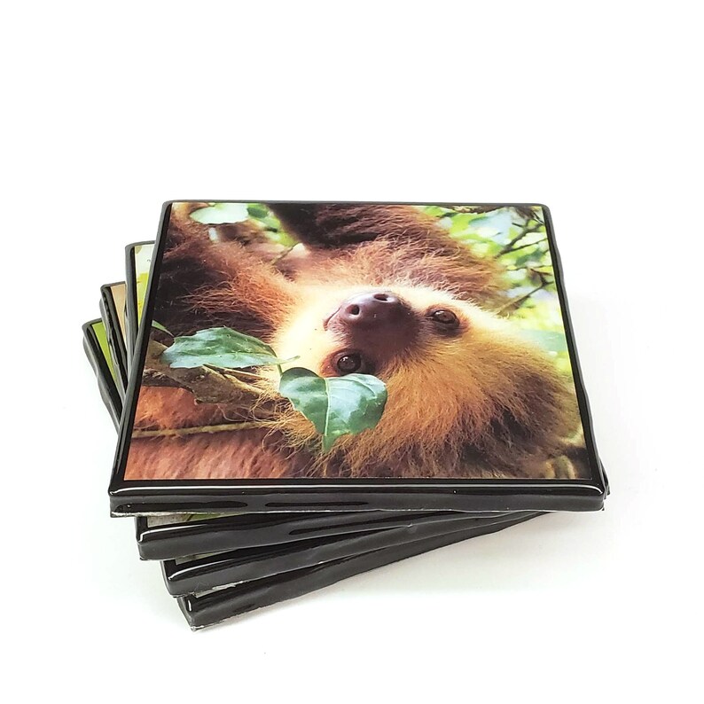 Black Edges Sloths Resin Tile Drink Coaster Set