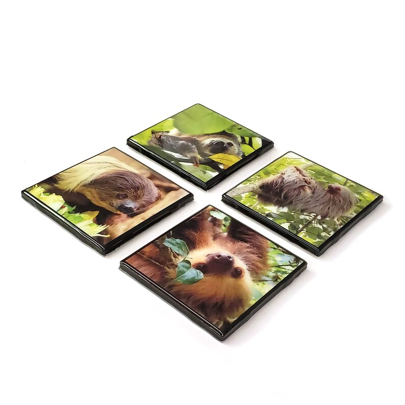 Black Edges Sloths Resin Tile Drink Coaster Set