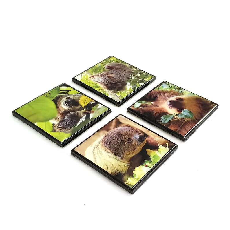 Black Edges Sloths Resin Tile Drink Coaster Set