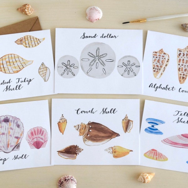 Seashell Greeting Cards Set - Set of 6 Watercolor Painted Seashells Beach Themed Cards Blank Inside