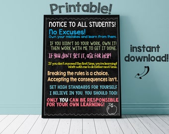 Classroom Rules Poster: Notice to all Students! [PRINTABLE]