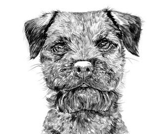 Border Terrier Dog SVG Silhouettes | Etsy