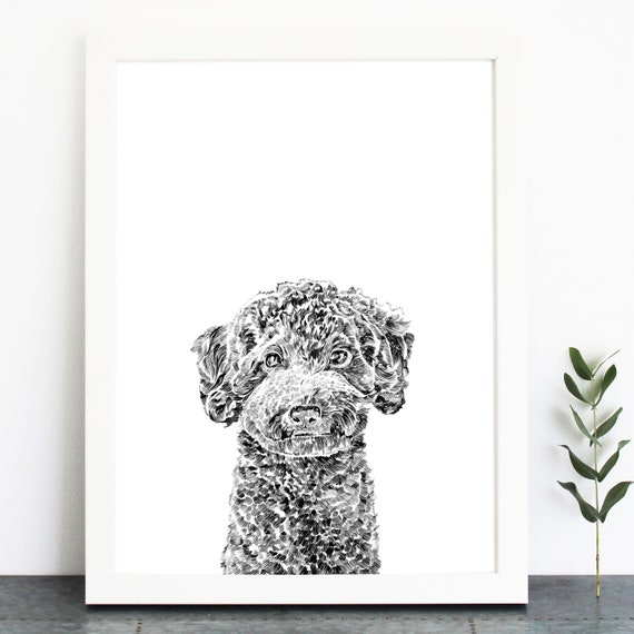 miniature poodle drawing