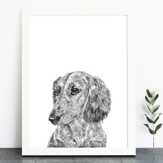 Long Haired Dachshund Print Etsy