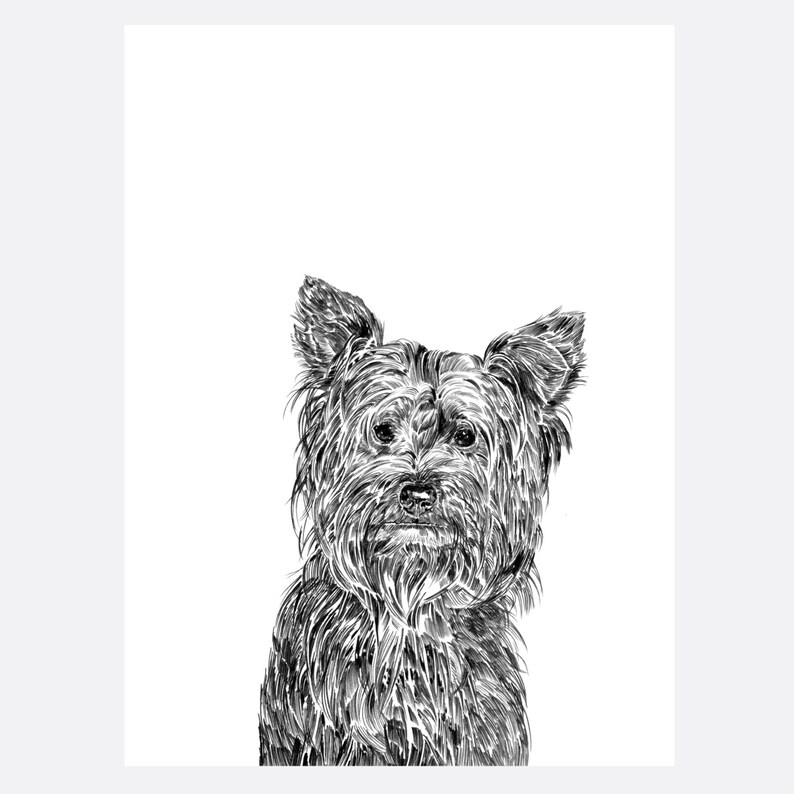 Yorkshire Terrier Print Etsy
