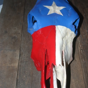 Texas Flag painted cow skull