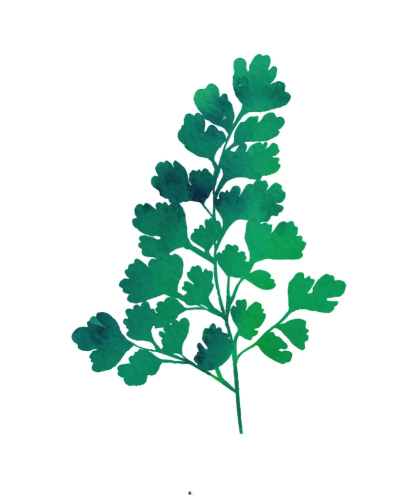 Plant Wall Art Set Digital Wall Art Set Botanical Decor Set Etsy