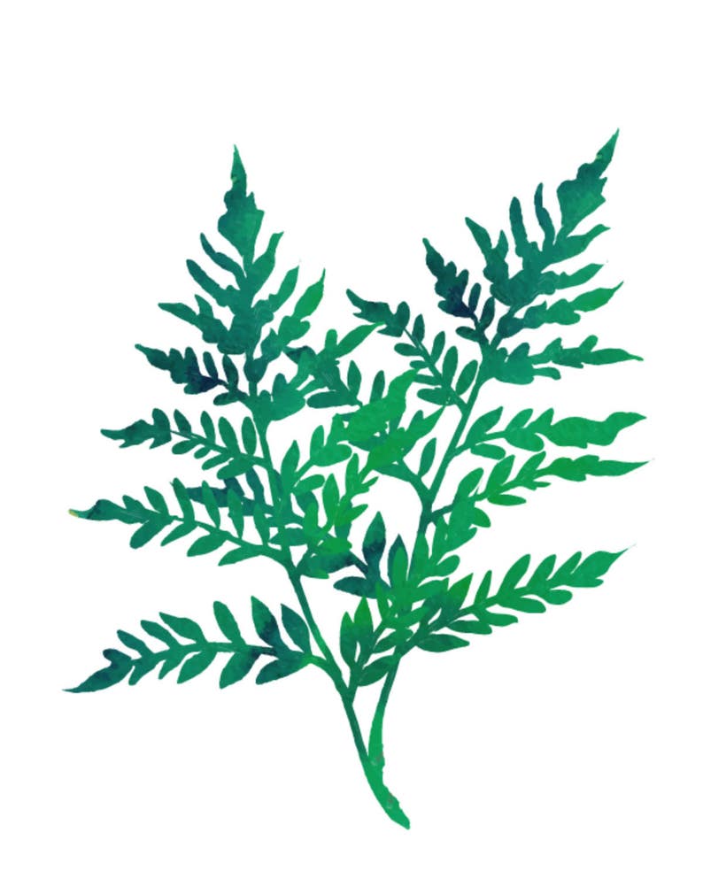 Plant Wall Art Set Digital Wall Art Set Botanical Decor Set Etsy