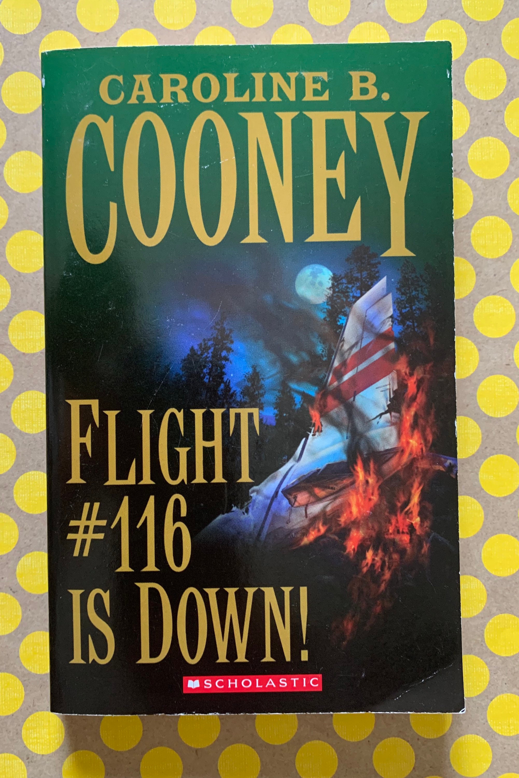 Flight 116 Is Down