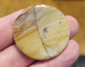 Owyhee Picture Jasper