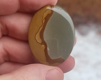 Owyhee Picture Jasper