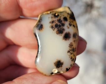 Montana Agate