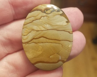Owyhee Picture Jasper