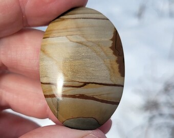 Owyhee Picture Jasper
