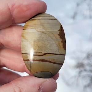 Owyhee Picture Jasper