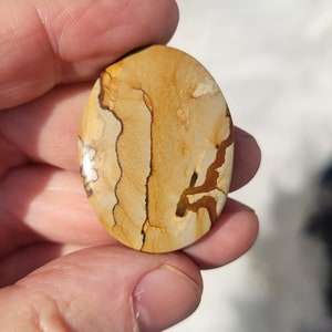 Owyhee Picture Jasper