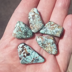 Nevada Variscite lot