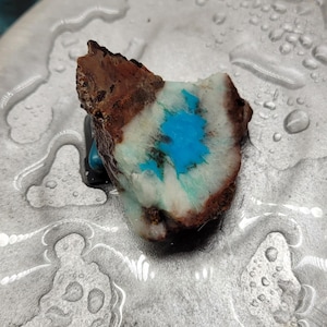 May include: A raw, irregular mineral specimen featuring a dark brown, textured outer crust surrounding a smooth, white interior core with a vibrant, bright blue centre patch. The stone displays a distinct contrast between its rough edges and polished centre.