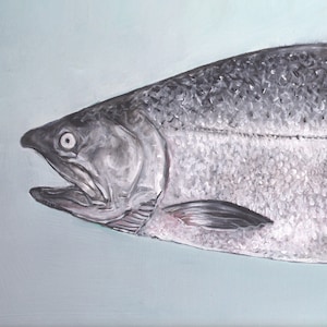 Chinook &quot;King&quot; salmon