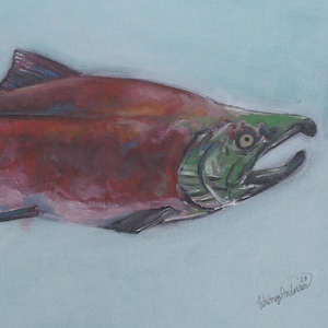 Saumon Sockeye "Rouge"