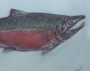 Coho "Silver" salmon