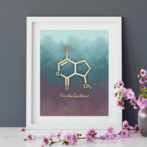 Catnip Molecule Poster, Nepetalactone Molecule, Science Teacher Gift, Cat Lover Gift, Wall Decor, veterinarian art, Cat Art, Cat Lady Art