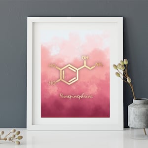 Norepinephrine Molecule Art Print, Psychology art, Science art, Chemistry, Office decor, Teacher Gift,