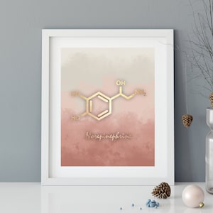 Norepinephrine Molecule Poster, Molecule Gift, Scientist Gift, Teacher Gift, Molecules, Nursery Art, Chemistry art
