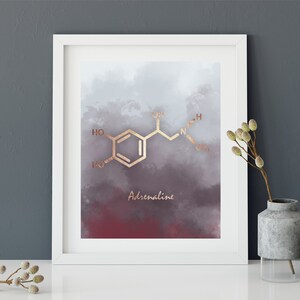 Adrenaline Molecule Poster, Adrenaline Art Print, Molecule Art Print, Chemistry Gift, Science Gift, Office Decor, Psychology art