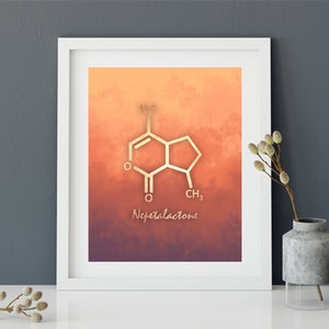 Catnip Molecule Art Print, Nepetalactone Molecule, Cat Lover gift, veterinarian gift, Wall Art, Prints, Cat Lady
