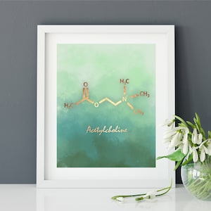 Acetylcholine Molecule Art Print, Chemistry Teacher Gift, Science Teacher Gift, Science Gift, Chemistry Gift, Office Art, psychology art