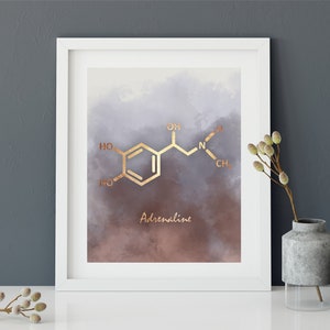 Adrenaline Molecule Art Print, Molecule Poster, Molecule Gift, Science Teacher Gift, Chemistry Poster, Molecules, Science Art, Wall Art