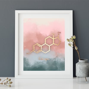 Estrogen Molecule Poster, Estrogen Art Print, Chemistry Poster, Molecules, Prints, Molecule wall art, Science Poster, Girl Nursery Art