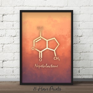 Instant Download Nepetalactone Molecule, Catnip Molecule, Catnip Art, Catnip Poster, Cat Lover, Cat Art Print, Cat Gift, Molecule Poster
